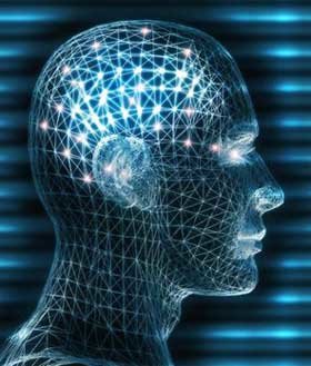 Frutas del bosque para mantener la agudeza mental