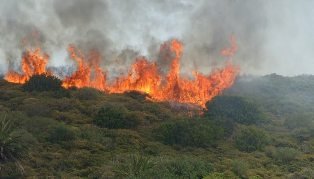 Fogatas y barbacoas prohibidas hasta Octubre