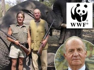 WWF España destituye al Rey