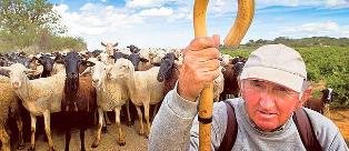 Los incendios de Valencia son fruto del abandono