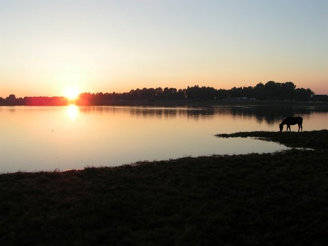 ¡ Váyase Señor González , váyase!