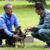 Acoge un futuro perro policía en tu casa