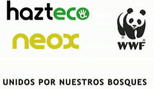 Juntos por la reforestación de los bosques