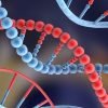 Curiosidades de la naturaleza: La fecha de caducidad del ADN