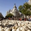 Un paseo ovino por las calles de Madrid