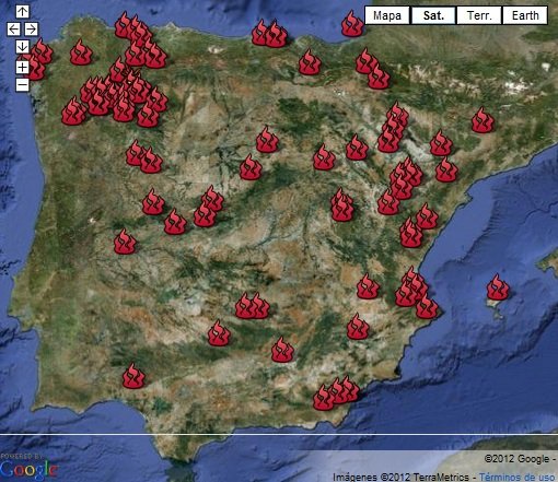 Juntos por la reforestación de los bosques