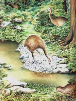 Curiosidades de la naturaleza : La fecha de caducidad del ADN