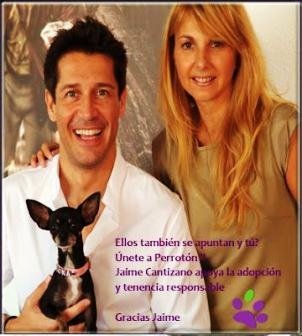 Perrotón recorrerá Madrid este domingo