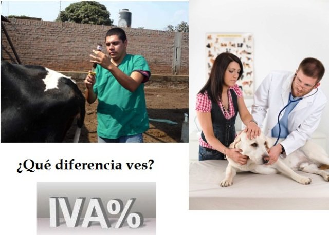 La salud de las mascotas no es un lujo