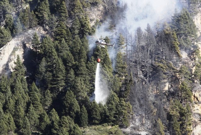 Primer incendio forestal del año