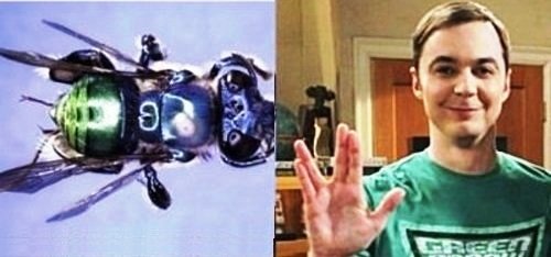 Sheldon Cooper ya tiene abeja