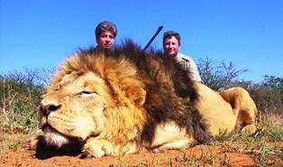 Zambia prohíbe la caza deportiva de felinos