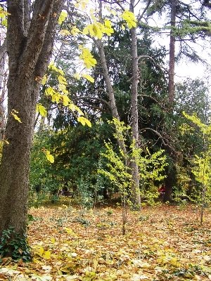 No se justifica ni siquiera económicamente