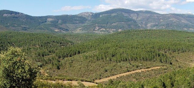 No se justifica ni siquiera económicamente