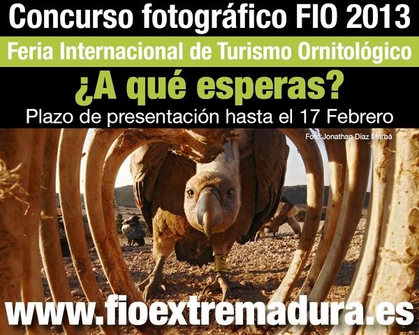 Extremadura Birdwatching Fair abre sus puertas