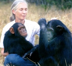 Jane Goodall firma la carta contra el toreo