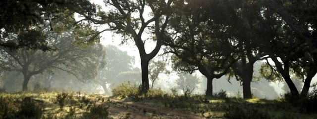 ¡ No con mis montes !