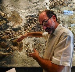 Vivíparos y estrategas de la K.