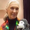 Jane Goodall firma la carta contra el toreo