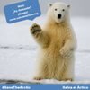 “Salvar el Ártico es salvar mucho más”