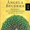 Memorias de un sinvergüenza de siete suelas