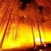 Prohíben hacer fuego en los bosques catalanes 