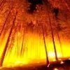 Prohíben hacer fuego en los bosques catalanes