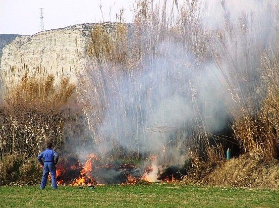 Prohíben hacer fuego en los bosques catalanes