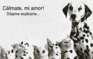 Curiosidades de la Naturaleza : Infidelidad femenina y cuidado de la prole