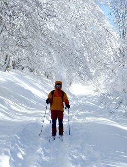 Las nevadas matan al 30% de los cervidos del Pirineo de Lleida