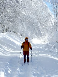 Las nevadas matan al 30% de los cervidos del Pirineo de Lleida