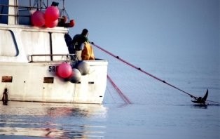 Restos de aperos de pesca de arrastre son los responsables