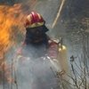El incendio de Mallorca deja un pueblo fantasma y un daño medioambiental de 80 años