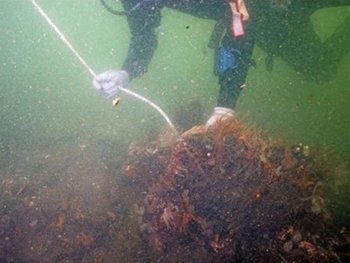 La riqueza marina en peligro por la ambición petrolífera