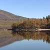 El Lago Sanabria pierde el 87% de sus especies de fitoplancton