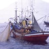 La gestión pesquera crispa el ambiente entre Greenpeace y el Marm