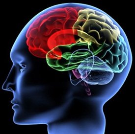 La ciencia más puntera de la semana