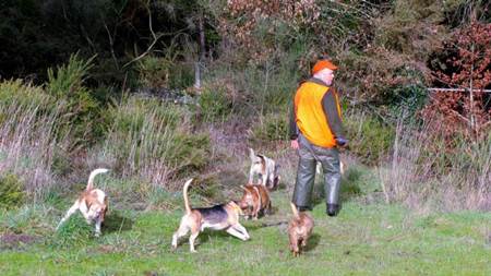 Cazando a los cazadores