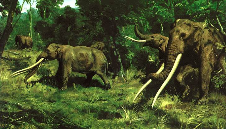 En América del Norte también se "cazaban elefantes prehistóricos" 