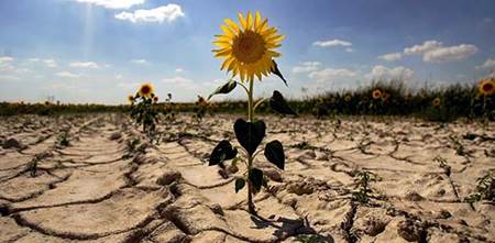 Los españoles sí creemos en el cambio climático