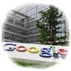 China bloquea google