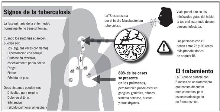 ¿Procede la tuberculosis de los pinnipedos?
