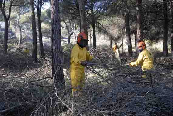 Los recortes en prevención siguen calcinando España