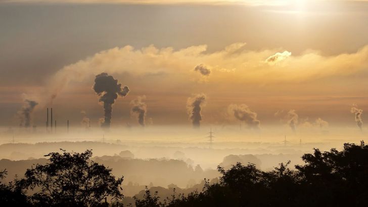 La electricidad producida con carbón se reduce más de un 60% en lo que va de año