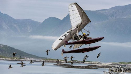 Volando juntos