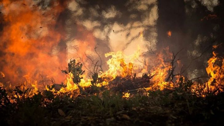 Greenpeace alerta de que el abandono de la España rural eleva el riesgo de grandes incendios