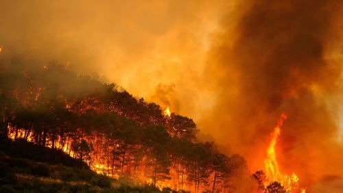 Un nuevo verano de incendios en varias regiones del planeta agudizará la emergencia climática