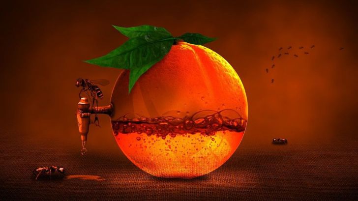 El Instituto Coordenadas alerta de que las importaciones de cítricos infectados de Argentina y Sudáfrica se disparan y propone a la UE endurecer los controles