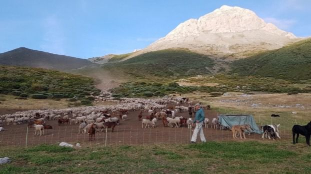 Más de 400 organizaciones europeas piden una PAC verde y justa