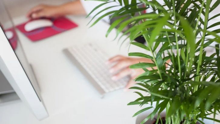 Algunos consejos para un teletrabajo saludable